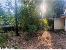 15 cent residential plot sale at Angamaly, Eranakulam