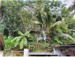 45 cent land with  4 bed room house  for Sale at  Erumeli, Kottayam