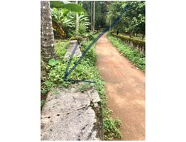 Residential Land at Manjakall, Cherupalassery