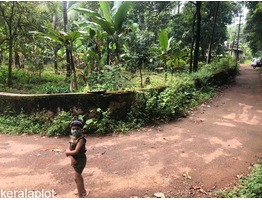 Residential Land at Manjakall, Cherupalassery