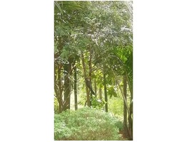 RESIDENTIA PLOT FOR SALE  / 21.5 cents  / Rs. 66,000 per cent