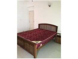 3bhk Fully Furnished Apartment for rent in Edachira, Kakkanad, Kochi.