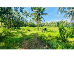 50 cents residential land for sale near udayanapuram junction in Kottayam district