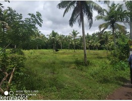 50 cents residential land for sale near udayanapuram junction in Kottayam district