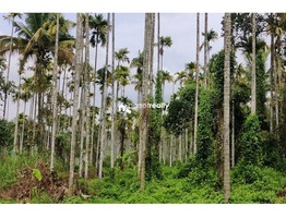 2.30 acre Agriculture land for sale near Varadoor…..