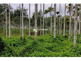 2.30 acre Agriculture land for sale near Varadoor…..