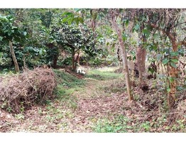 2.30 acre Agriculture land for sale near Varadoor…..