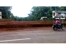 59 cent commercial land for sale at Kadakkal, Kollam