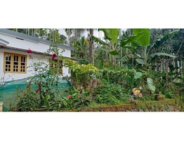 30 cent land and 1700 sq ft house for sale in Meppadi, Wayanad