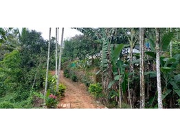 30 cent land and 1700 sq ft house for sale in Meppadi, Wayanad