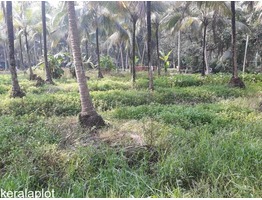 12 CENT PLOT FOR SALE IN ILLATHAPADI.MANGALAM.TIRUR