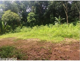 18 Cent Plot for sale in Thiruvanchoor Kottayam