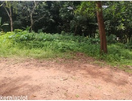 18 Cent Plot for sale in Thiruvanchoor Kottayam