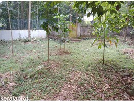 18.5 cents of residential land available for sale in Kuruppampady (perumbavoor)