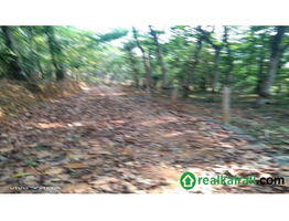 1 acer 65 cent land for sale sale at Mattakkara, Kottayam