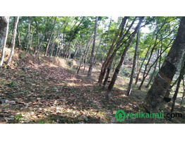 1 acer 65 cent land for sale sale at Mattakkara, Kottayam