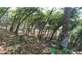 1 acer 65 cent land for sale sale at Mattakkara, Kottayam