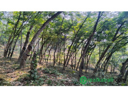 1 acer 65 cent land for sale sale at Mattakkara, Kottayam