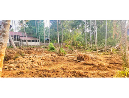 10 cent land for sale at near karimpadam market, paravoor, Eranakulam