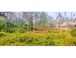 10 cent land for sale at near karimpadam market, paravoor, Eranakulam