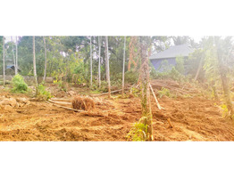 10 cent land for sale at near karimpadam market, paravoor, Eranakulam