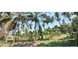 82.5 cent land for sale Kothamangalam, Eranakulam