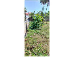 82.5 cent land for sale Kothamangalam, Eranakulam