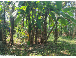 38 cent land with house for sale at near Chithra Hospital, Pathanamthitta