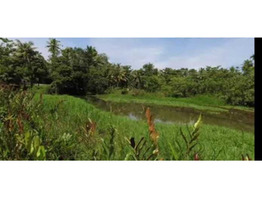 10 acer land for sale at Thripunithura, Poothotta, Eranakulm