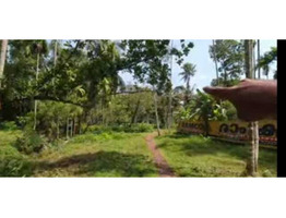 10 acer land for sale at Thripunithura, Poothotta, Eranakulm