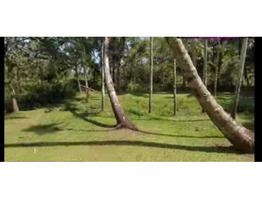 10 acer land for sale at Thripunithura, Poothotta, Eranakulm