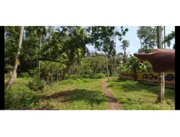 10 acer land for sale at Thripunithura, Poothotta, Eranakulm