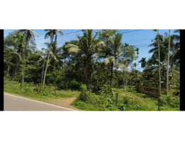 10 acer land for sale at Thripunithura, Poothotta, Eranakulm