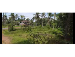 10 acer land for sale at Thripunithura, Poothotta, Eranakulm