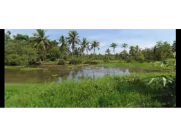 10 acer land for sale at Thripunithura, Poothotta, Eranakulm