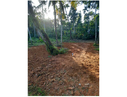 10 cent land for sale at near Koonamvu gopika diary farm, Eranakulam