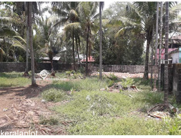 17 CENTS OF SQUARE RESIDENTIAL PLOT FOR SALE NEXT TO AMBETKAR MUNICIPAL HALL MULAVUKAD