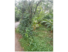 39 cent land with house for sale rajakkad, Idukki