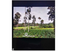 3 acer 10 cent residential land for sale at eattumanoor kottayam