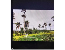 3 acer 10 cent residential land for sale at eattumanoor kottayam