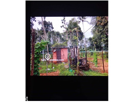 3 acer 10 cent residential land for sale at eattumanoor kottayam