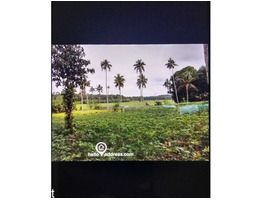 3 acer 10 cent residential land for sale at eattumanoor kottayam