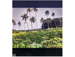 3 acer 10 cent residential land for sale at eattumanoor kottayam