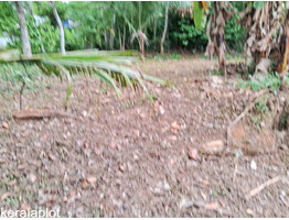 15 cent land  for sale  at  manarcadu , kottayam