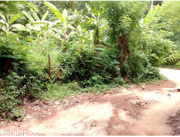 24 cent land for sale at Chelakkara,Thrissur