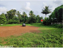 52 cent square plot for sale at near Murigoor Junction,Thrissur