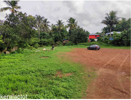 52 cent square plot for sale at near Murigoor Junction,Thrissur