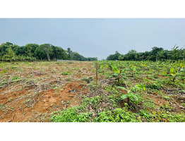 2.45 acre land for sale at near Appollo Hospital and Adlux Convention Centre, Angamaly