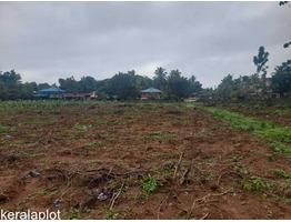 2.45 acre land for sale at near Appollo Hospital and Adlux Convention Centre, Angamaly