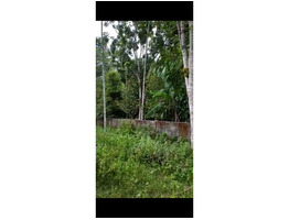 11 cent land for sale at near Mala,Madathumpady,Thrissur